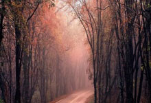 拉涅利有能!意甲官方晒2025年积分榜:罗马居首,国米第三.