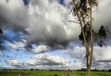 “十五运”女排成年组资格赛激战继续 天津渤海银行女排击败山东队.