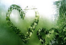 第十一届王者荣耀全国大赛海选来了!长春线下赛地点公布.