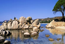 打不死的斧腿郭强,开局25秒被重拳击倒!狂砍36腿绝地逆袭.